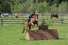 Topline Photo Gallery