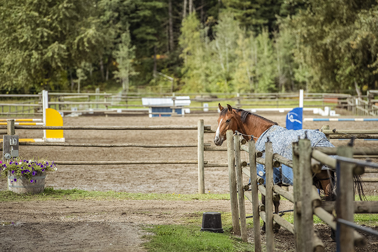 Slideshow Slide 5 - Topline Stables & Show Park